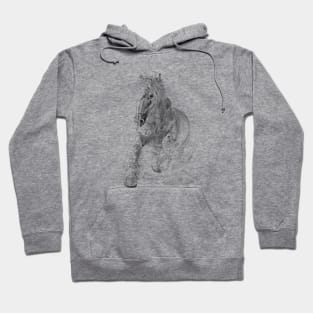 Pferd Hoodie